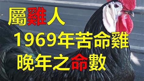 69屬什麼|【69屬什麼】1969屬什麼？一文解答你的生肖、流年運勢，不再。